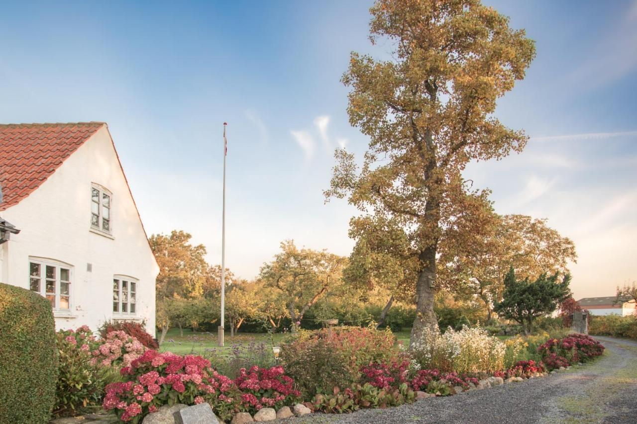 Sjaelegard Countryside Lodge Allinge-Sandvig Exterior foto