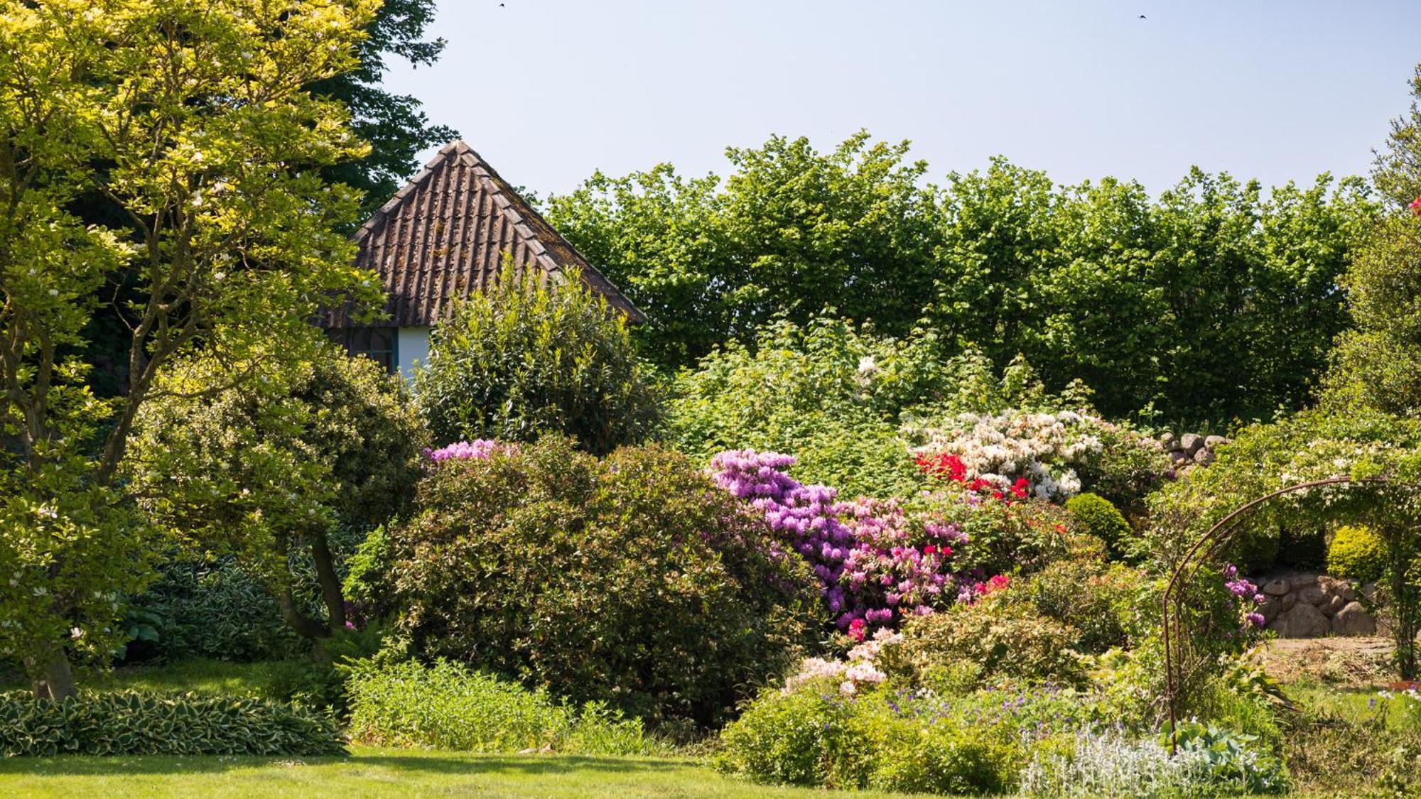 Sjaelegard Countryside Lodge Allinge-Sandvig Exterior foto